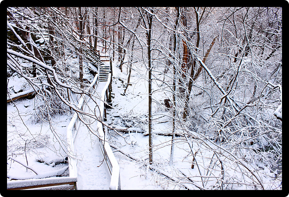 Boardwalk through a snow covered forest of northern Illinois.