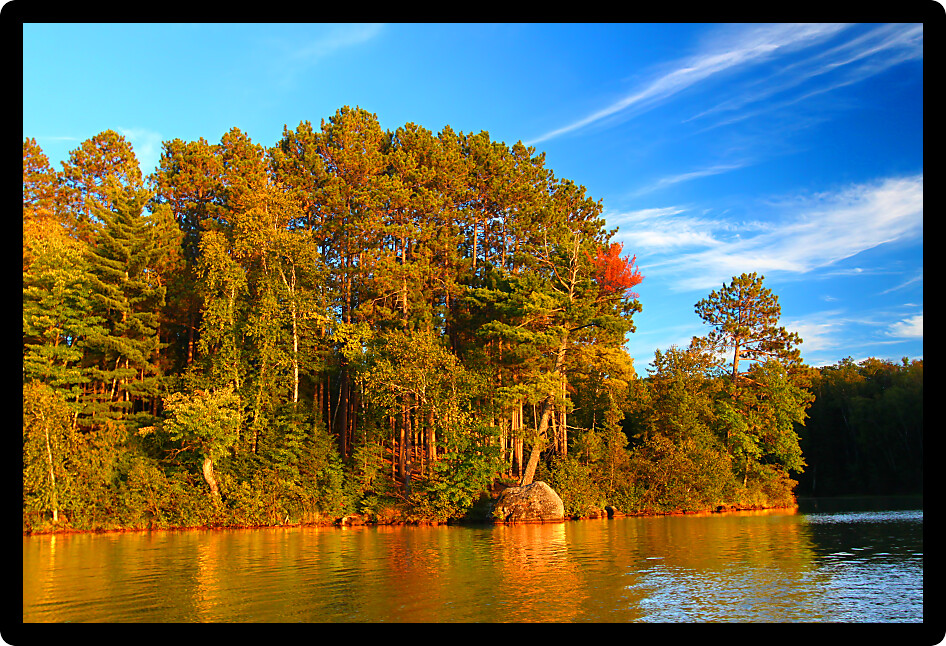 Beautiful foliage along the shoreline of Sweeney Lake in northwoods Wisconsin.