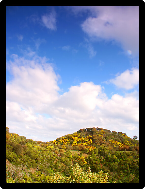 Vegetation adorns the hillsides of a small crater at Tower Hill State Game Reserve in Victoria Australia.