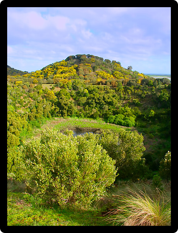 Vegetation adorns the hillsides of a small crater at Tower Hill State Game Reserve in Victoria Australia.