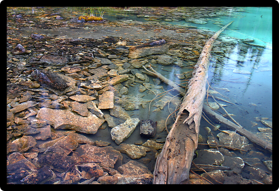 Lovely turquoise colored pond in Yoho National Park of British Columbia.
