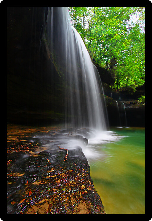 Upper Caney Creek Falls in the William B Bankhead National Forest of Alabama.