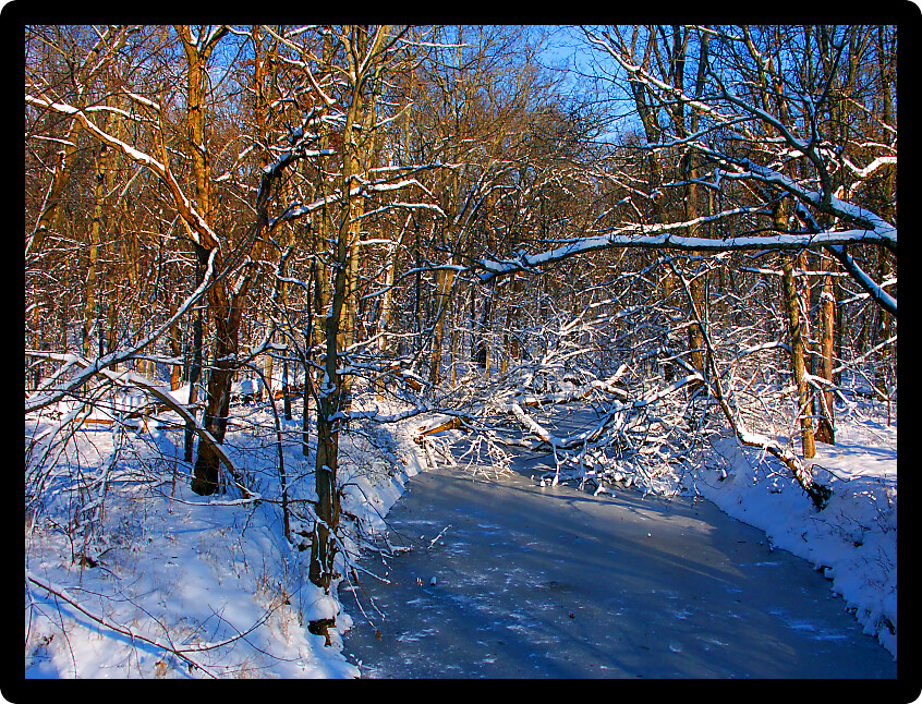 Shadows cast over a frozen creek at Allerton Park in central Illinois.