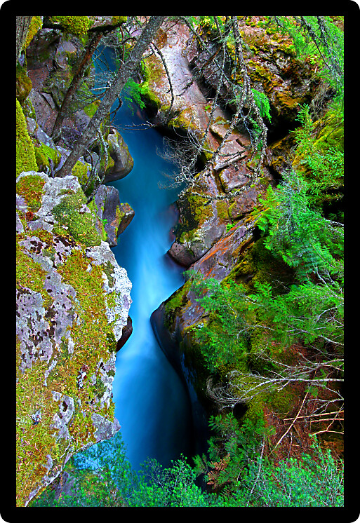 Waterfall through a narrow gorge of Avalanche Creek in Glacier National Park Montana.