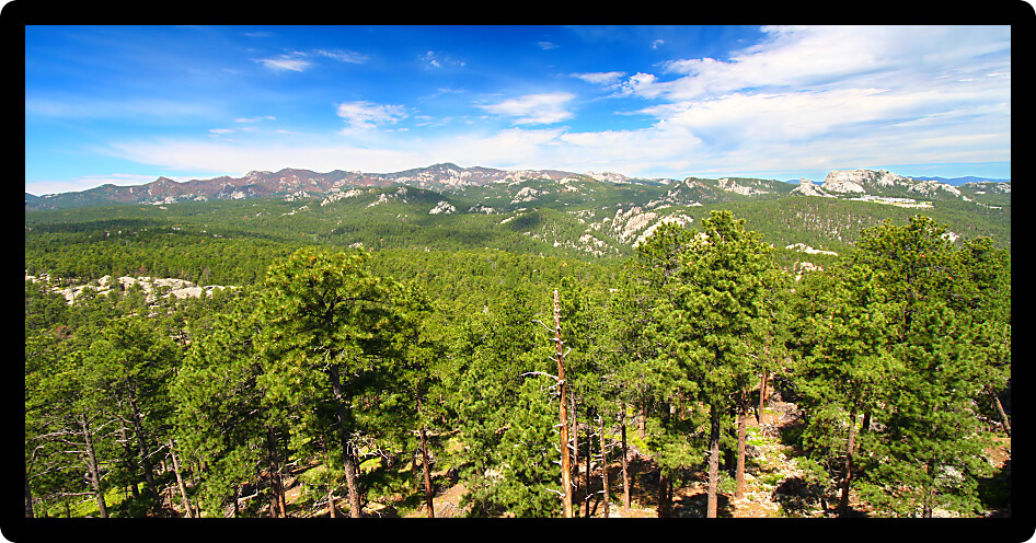 Mount Rushmore amidst the vastness of Black Hills National Forest in South Dakota.