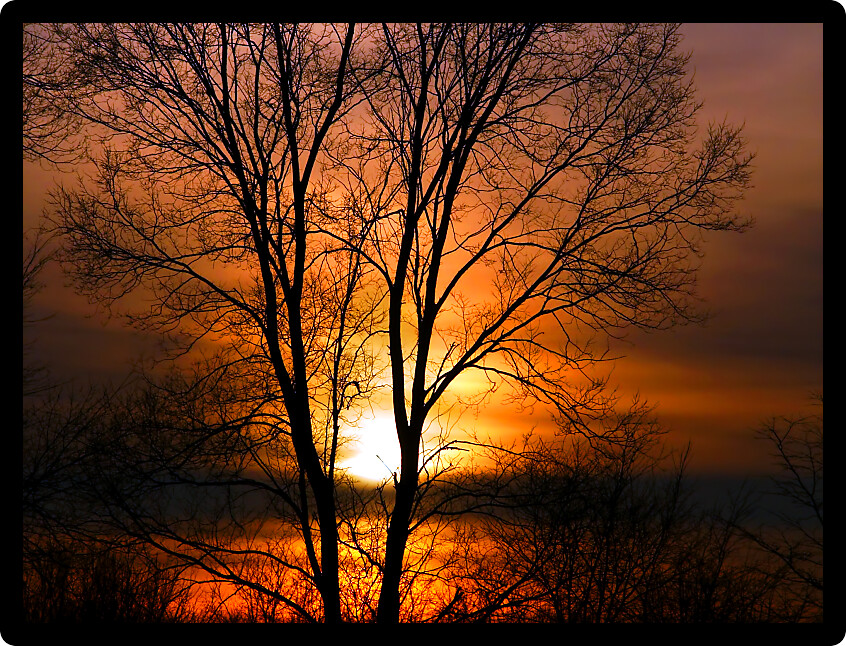 Blazing orange colors of sunset beyond a forest in northern Illinois.