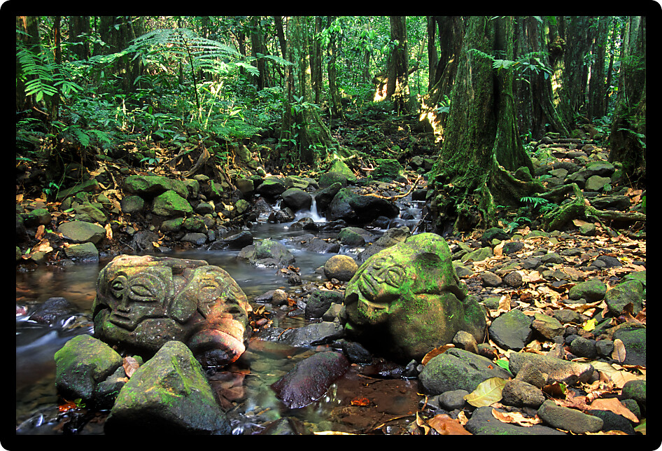 Old stone carvings in the tropical rainforest of Moorea French Polynesia.