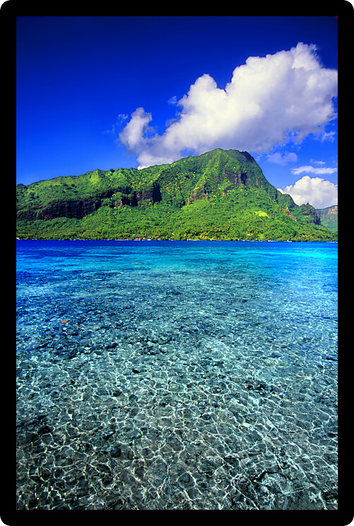 Moorea is a beautiful island covered in lush rainforests in French Polynesia.