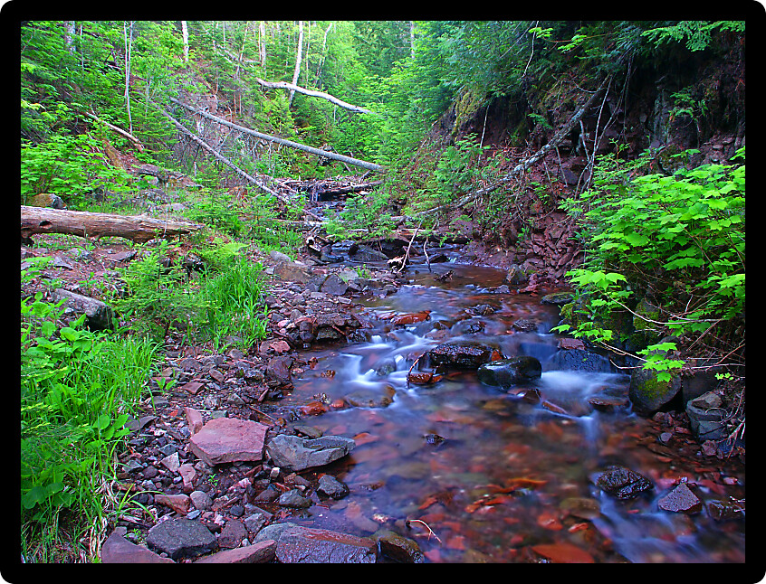 Riffles of Jacobs Creek in the dense forests of northern Michigan.