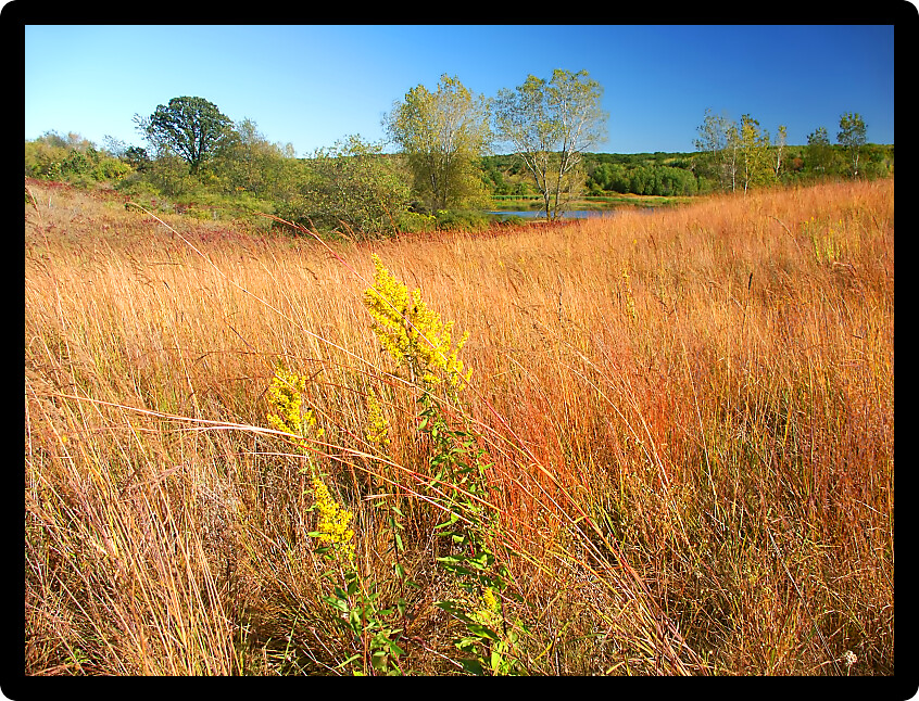 Beautiful hillside prairie of the Kettle Moraine State Forest in Wisconsin.