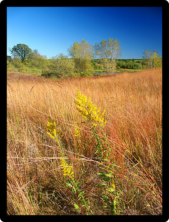 Beautiful hillside prairie of the Kettle Moraine State Forest in Wisconsin.