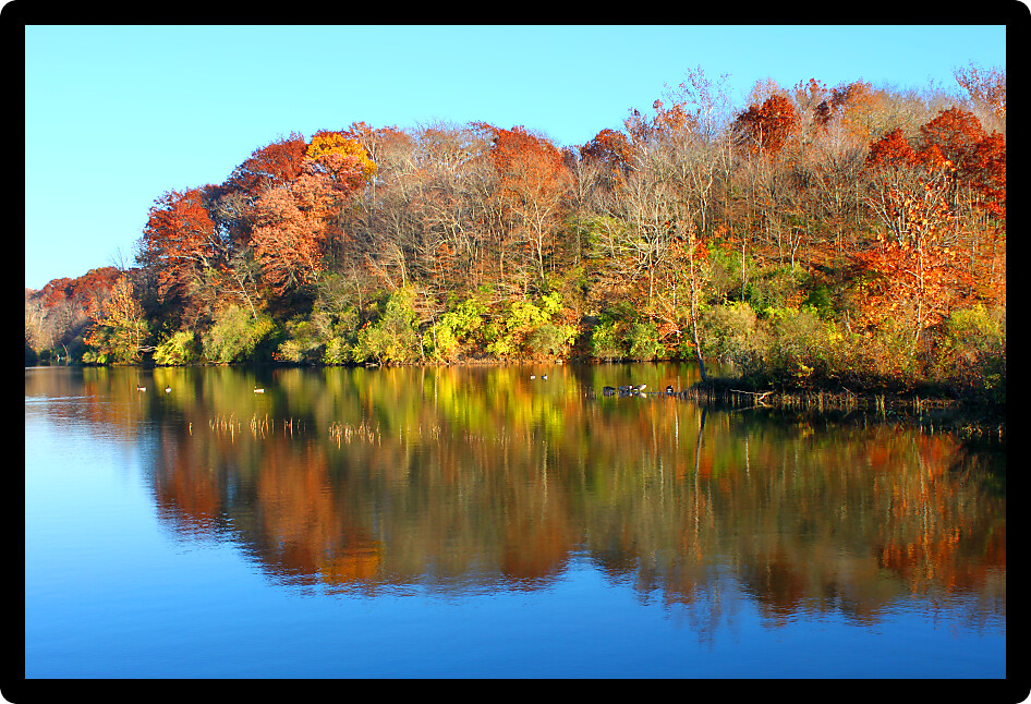 Kickapoo State Park is located in Vermilion County Illinois and features numerous hiking paths and lakes.