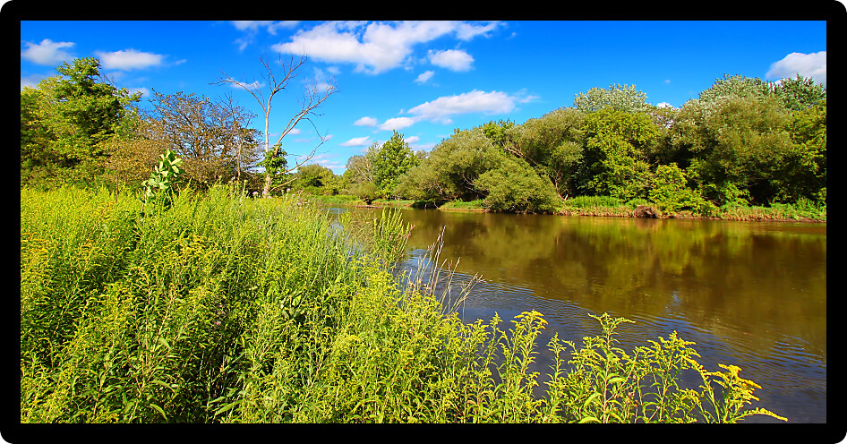 Kishwaukee River flows through Illinois on a beautiful day.