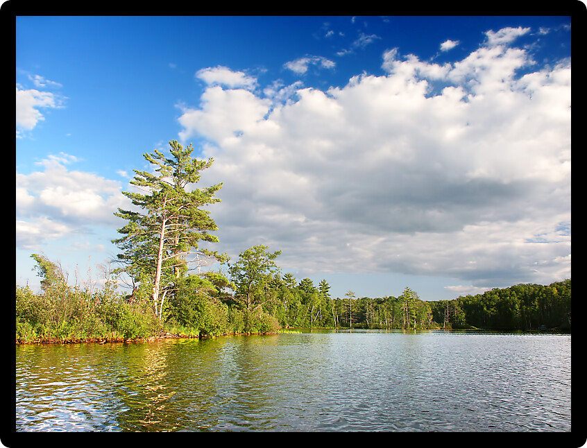 Beautiful shoreline of Little Bearskin Lake in northwoods Wisconsin.