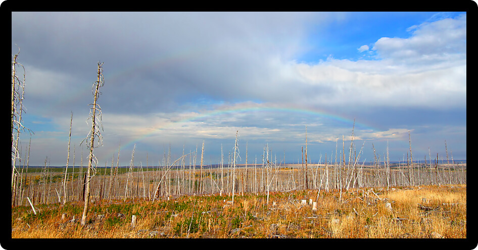 Beautiful autumn landscape of Glacier County in rural Montana.