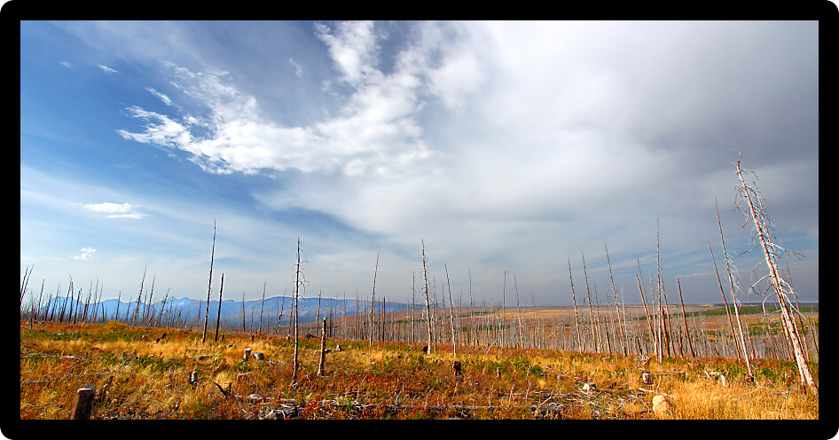 Beautiful autumn scenery of Glacier County in rural Montana.