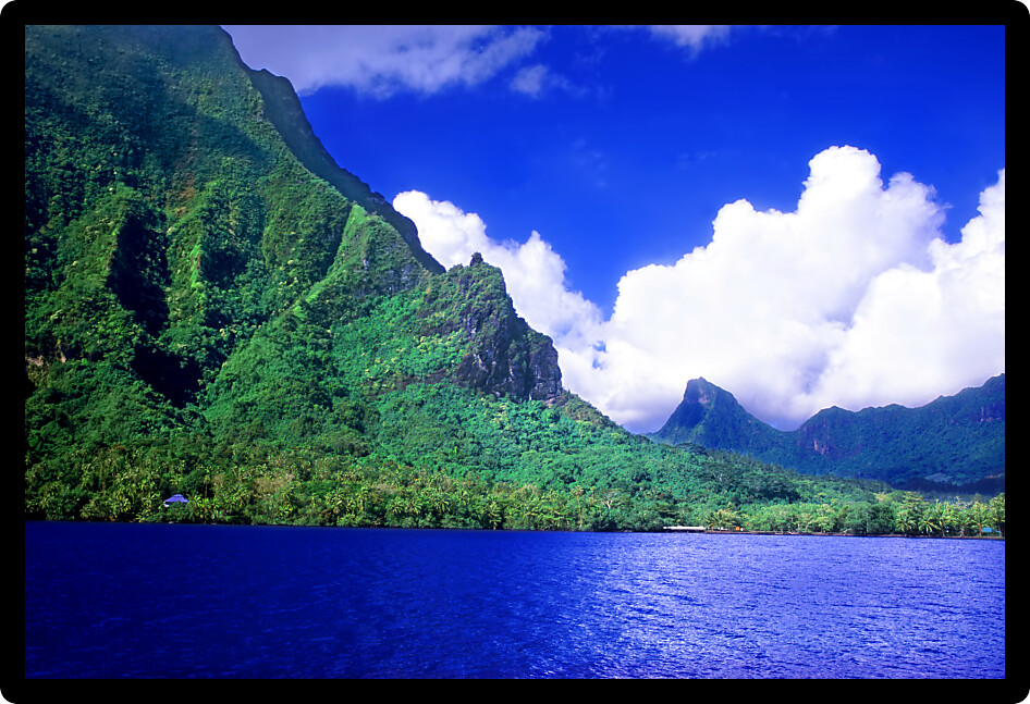 Moorea is a beautiful island covered in lush rainforests in French Polynesia.