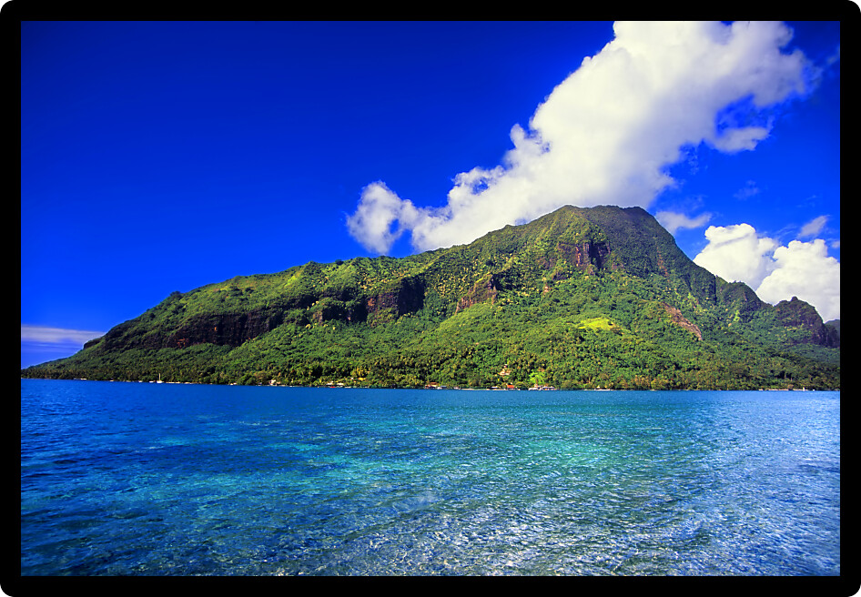 Moorea is a beautiful island covered in lush rainforests in French Polynesia.