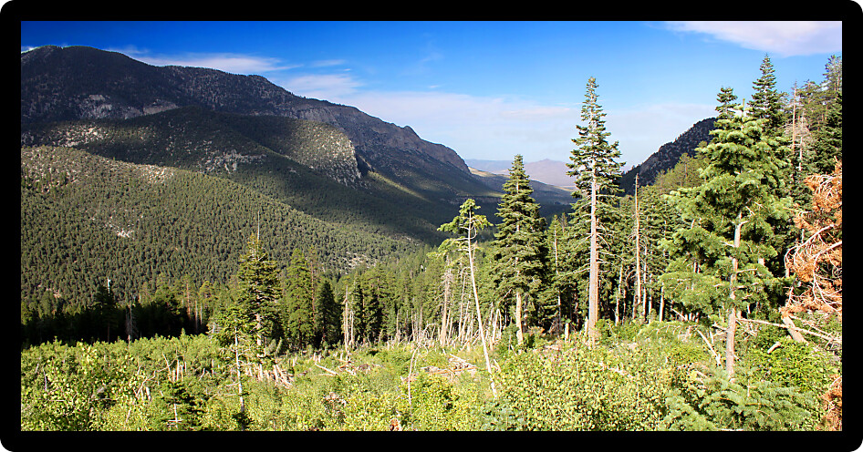 Panorama of forested mountains in the Mount Charleston area northwest of Las Vegas Nevada.