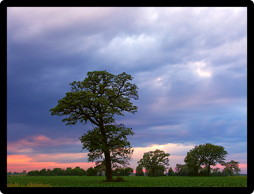 Rain clouds over an agricultural field in rural Wisconsin.