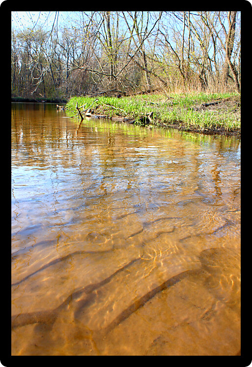 Sandy ripples of the Sugar River in northern Illinois.