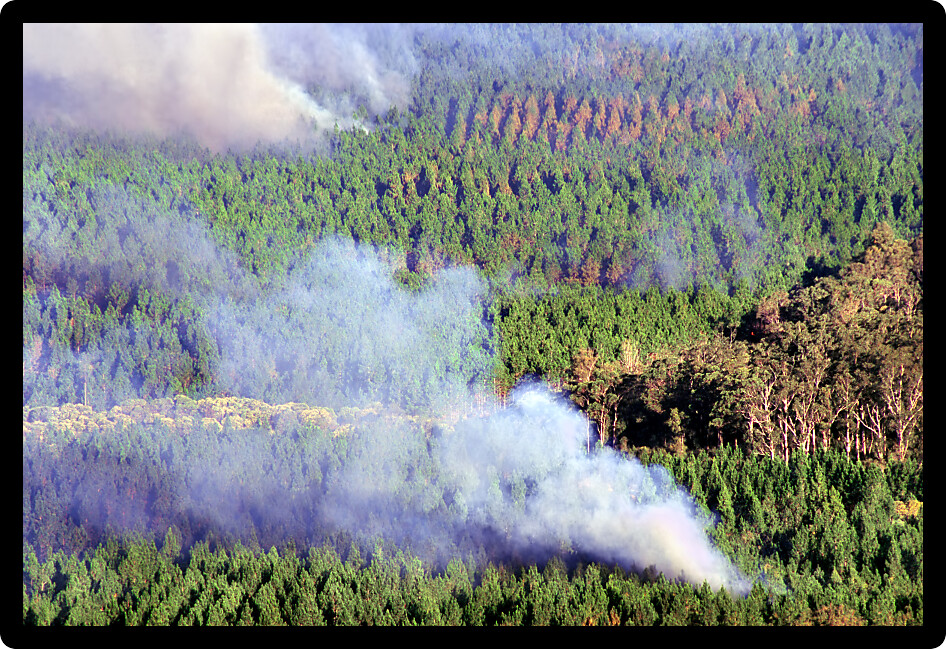 Billowing smoke from a bushfire in the Glass House Mountains of Queensland Australia.