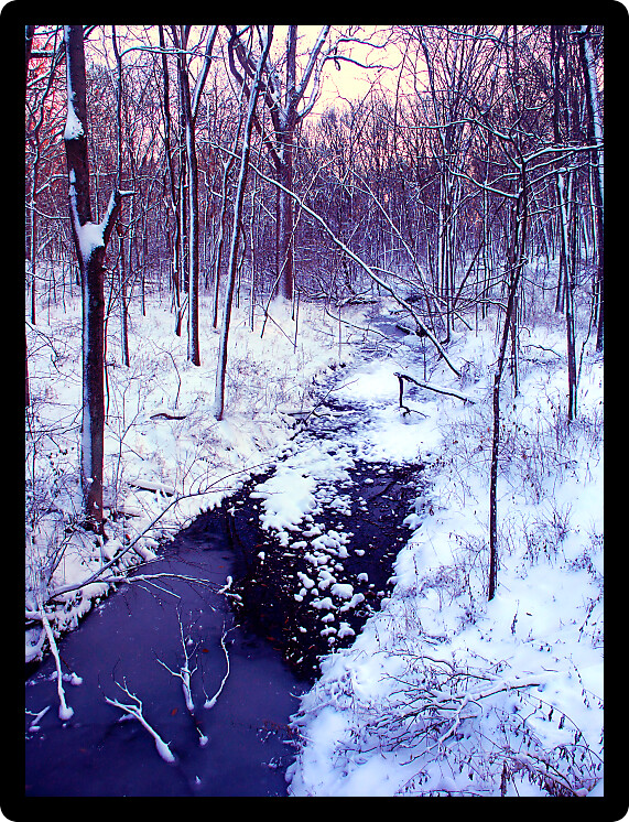 Snow covered stream and forest scenery of Allerton Park in central Illinois.