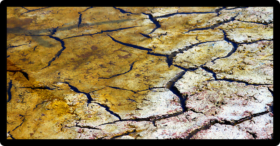 Cracked earth patterns in the ground of the Florida Everglades.