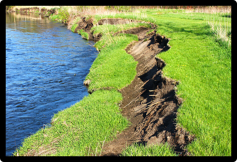River bank collapse due to erosion of a cut bank in the Kishwaukee River.