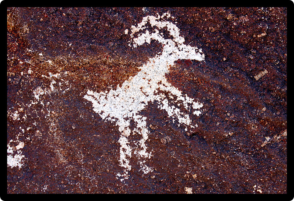 Goat petroglyph on a rock wall at Grapevine Canyon Nevada.