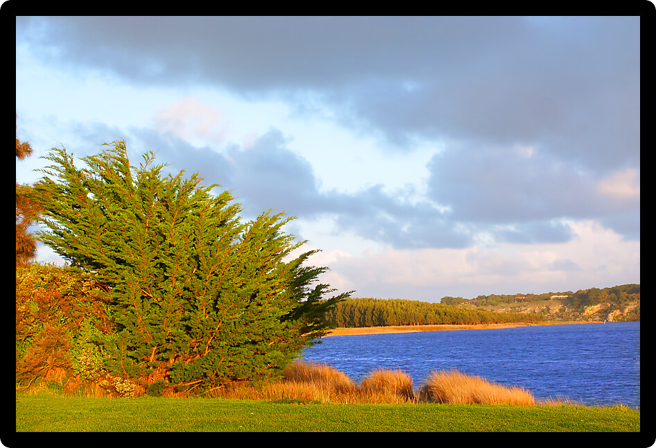 Hopkins River estuary in the town of Warrnambool Victoria Australia.