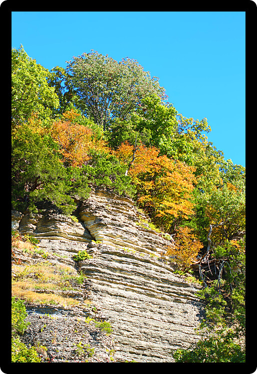 Bluffs and autumn forest scenery of the Shawnee National Forest in southern Illinois.