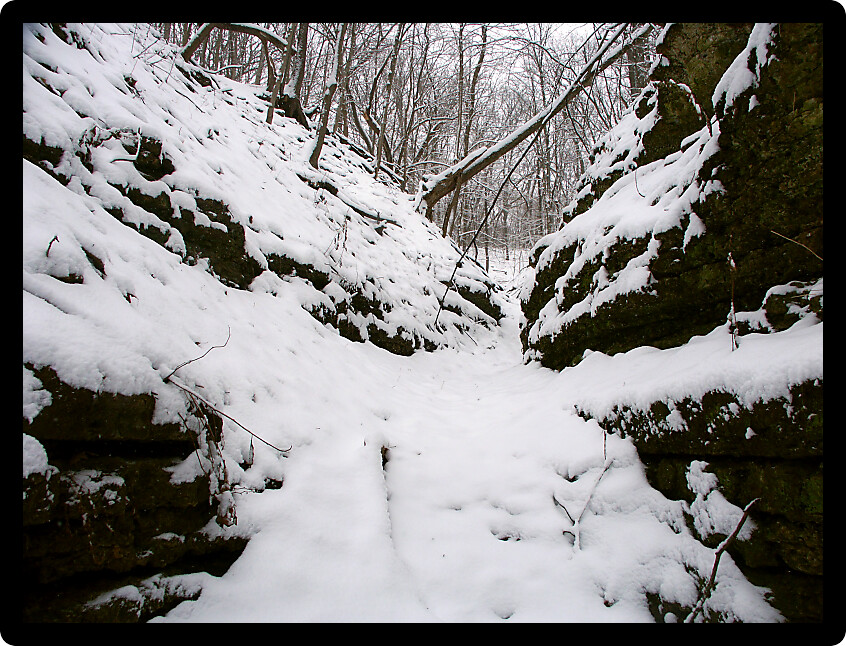 Snowy forest and gorge landscape in the Midwest United States.