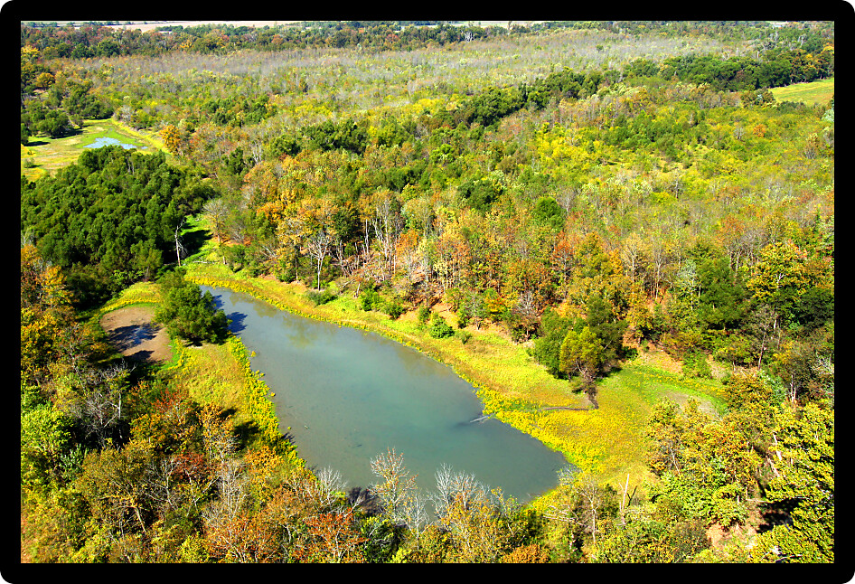Wetland landscape seen from Inspiration Point of the Shawnee National Forest in southern Illinois.