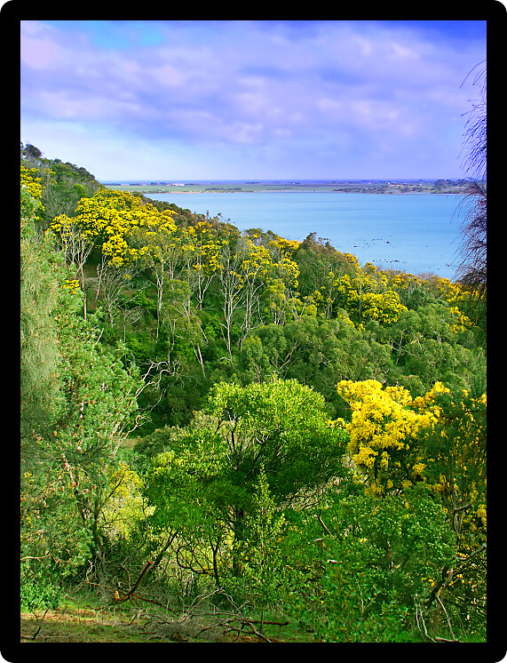 Hillside and wetland landscape at Tower Hill State Game Reserve in Victoria Australia.