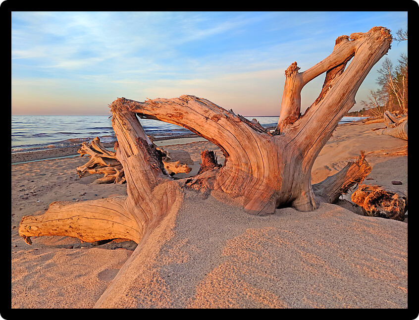 Driftwood along the sandy Lake Superior Beach at sunset in northwoods Michigan.