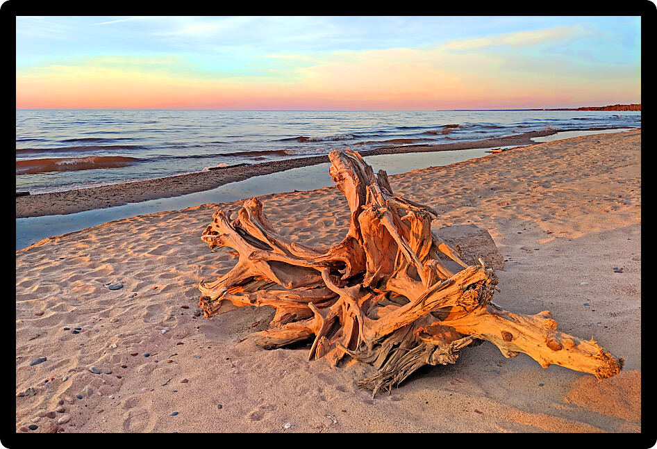 Driftwood and sandy Lake Superior Beach at sunset in northwoods Michigan.