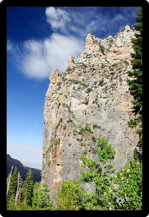 Echo Cliffs showcase a sheer vertical drop at Spring Mountains National Recreation Area of Nevada.