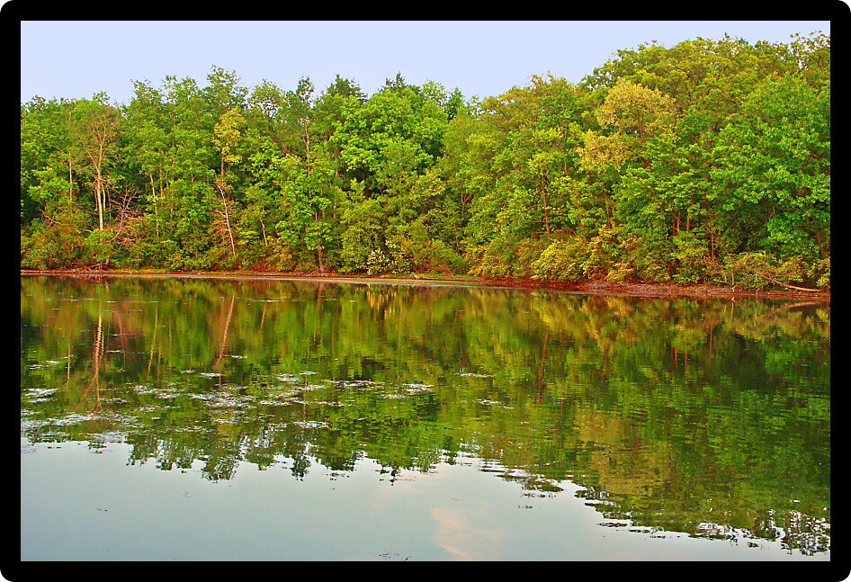 Beautiful forest scenery reflects off a lake at Kettle Moraine State Forest in Wisconsin.