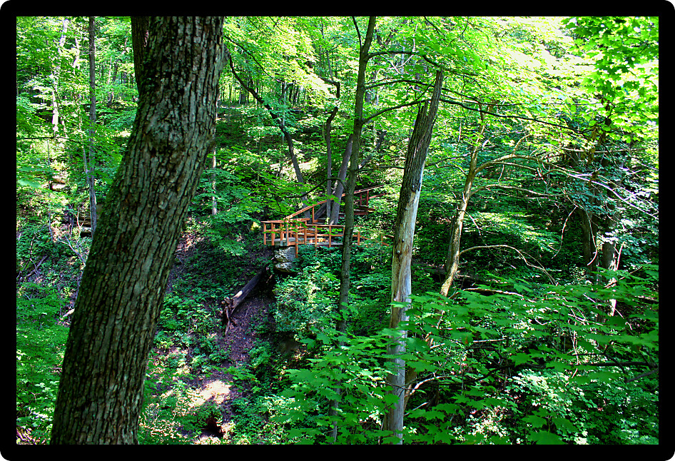 Kishwaukee Gorge Forest Preserve is a beautiful forested natural area in northern Illinois.