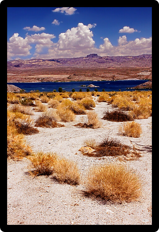 Lake Mohave is a reservoir on the Colorado River in the desert of the southwestern United States.