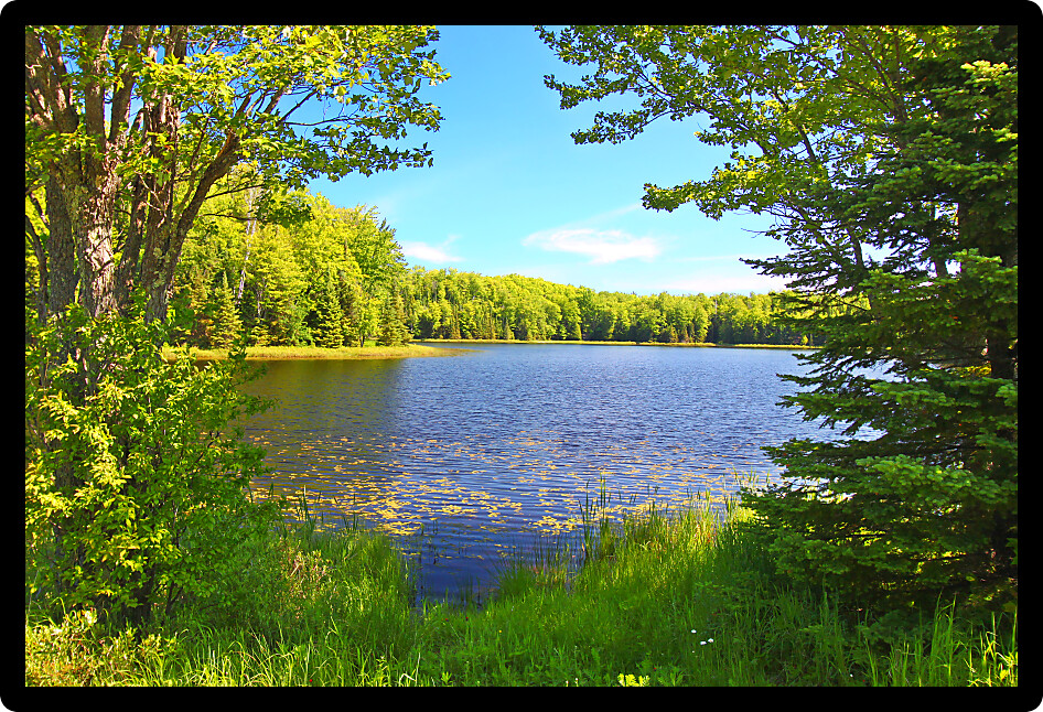 Forest trees frame a scenic view of Mabel Lake in the Northern Highland American Legion State Forest of Wisconsin.