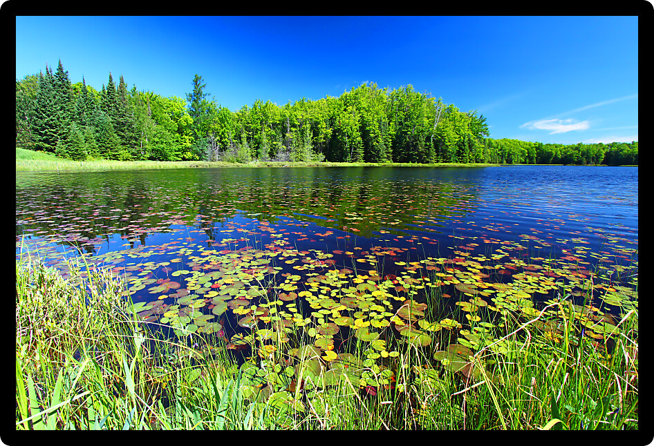 Mabel Lake in the Northern Highland American Legion State Forest of Wisconsin.