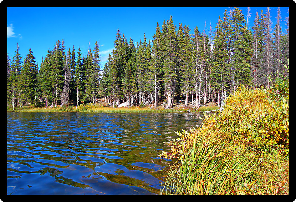 Little Brooklyn Lake in the Medicine Bow National Forest of Wyoming.