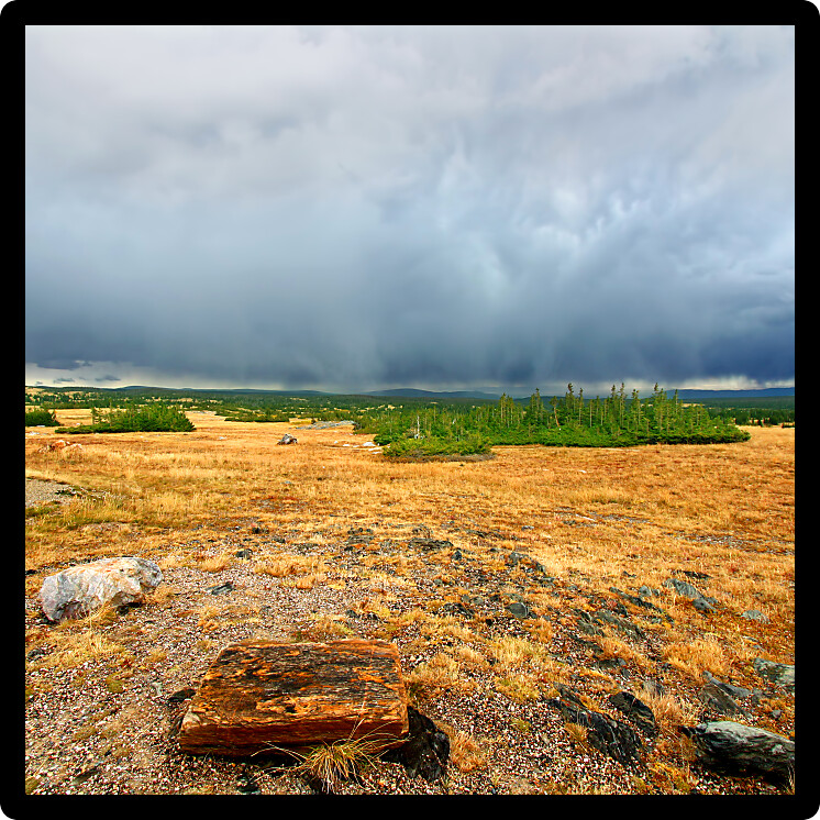 View of the Libby Flats near Snowy Range Pass in the Medicine Bow National Forest of Wyoming.