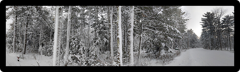 Panoramic view of a northwoods winter wonderland in the Upper Peninsula of Michigan.