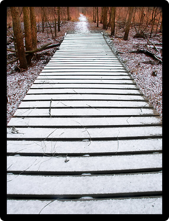 Snow covered boardwalk through a winter forest landscape in Illinois.