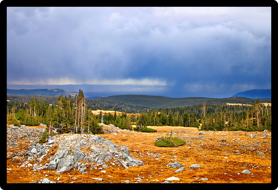 Rainclouds gather over the high altitude terrain of Medicine Bow National Forest of Wyoming.