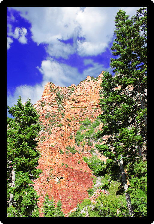 Echo Cliffs showcase a sheer vertical drop at Spring Mountains National Recreation Area of Nevada.
