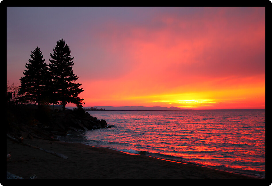 Pine trees silhouetted by vivid pink colors of sunset cover in Northwoods Michigan.
